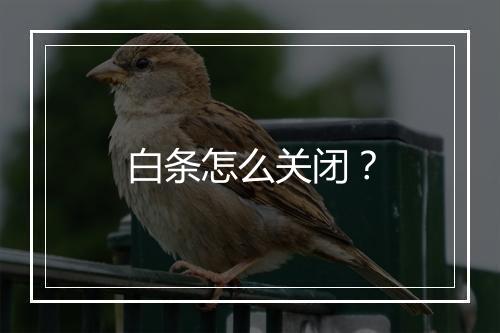 白条怎么关闭？