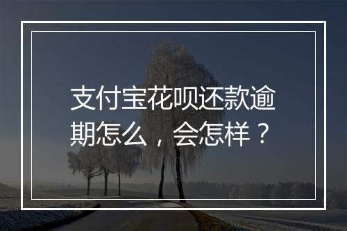 支付宝花呗还款逾期怎么，会怎样？