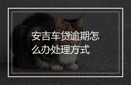 安吉车贷逾期怎么办处理方式