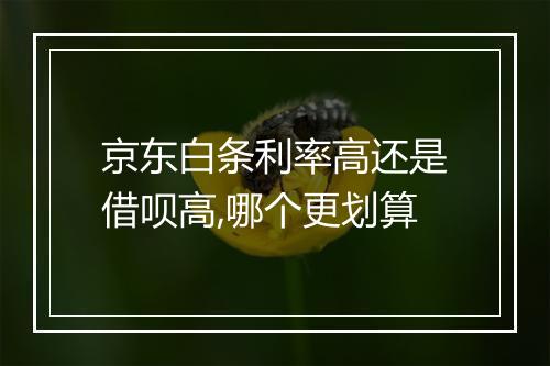京东白条利率高还是借呗高,哪个更划算