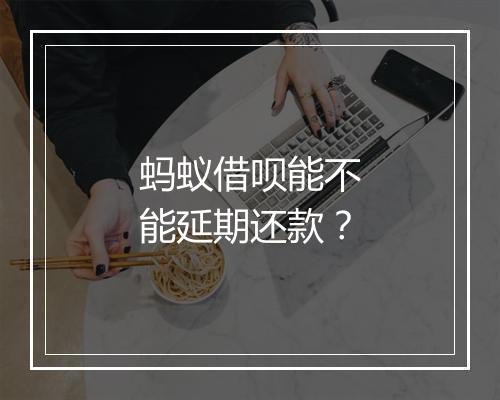 蚂蚁借呗能不能延期还款？