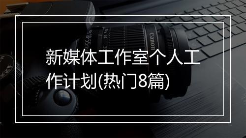 新媒体工作室个人工作计划(热门8篇)