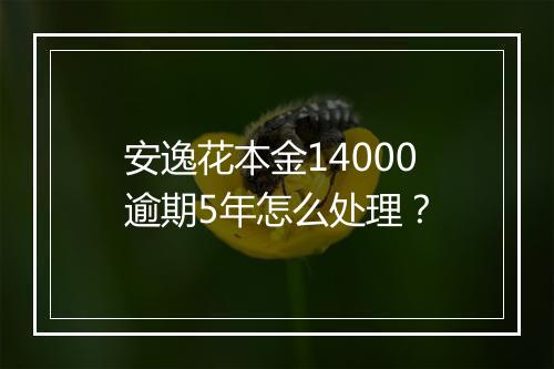 安逸花本金14000逾期5年怎么处理？