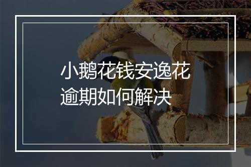 小鹅花钱安逸花逾期如何解决