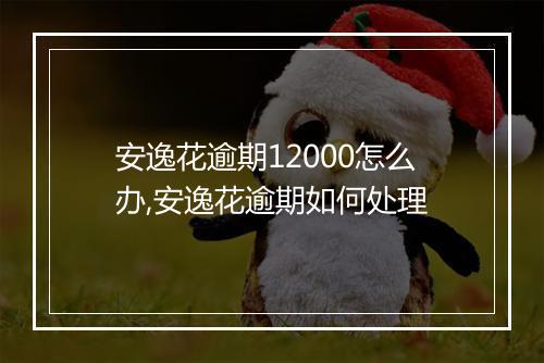 安逸花逾期12000怎么办,安逸花逾期如何处理