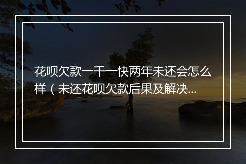 花呗欠款一千一快两年未还会怎么样（未还花呗欠款后果及解决办法）