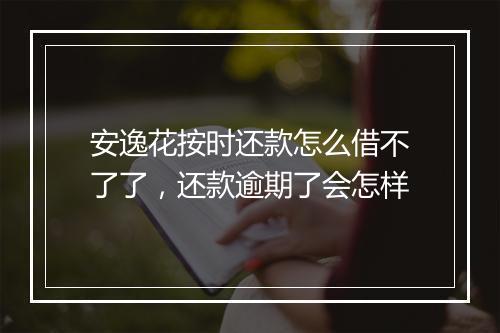 安逸花按时还款怎么借不了了，还款逾期了会怎样