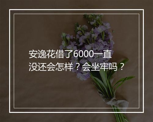 安逸花借了6000一直没还会怎样？会坐牢吗？