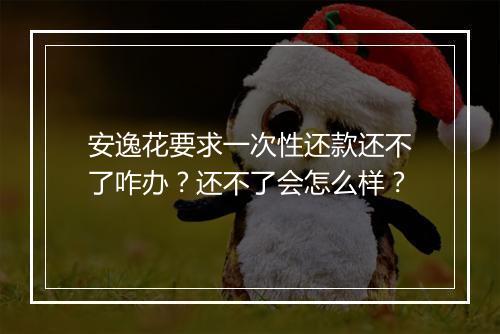 安逸花要求一次性还款还不了咋办？还不了会怎么样？