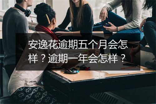 安逸花逾期五个月会怎样？逾期一年会怎样？