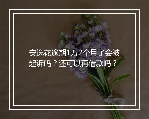 安逸花逾期1万2个月了会被起诉吗？还可以再借款吗？