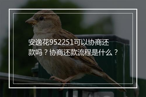 安逸花952251可以协商还款吗？协商还款流程是什么？