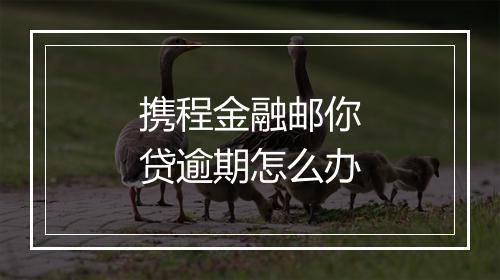 携程金融邮你贷逾期怎么办