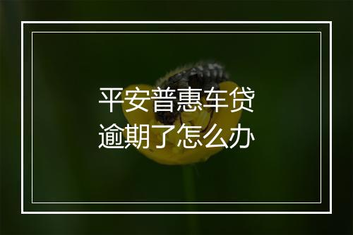 平安普惠车贷逾期了怎么办