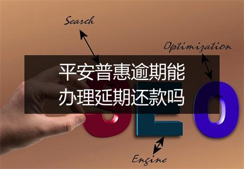 平安普惠逾期能办理延期还款吗