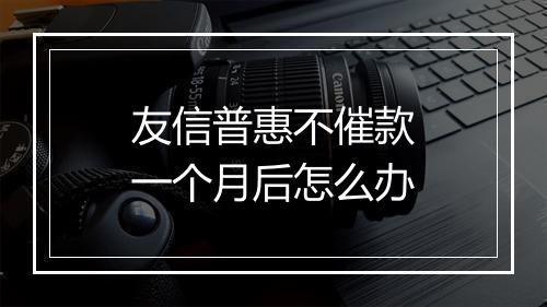 友信普惠不催款一个月后怎么办