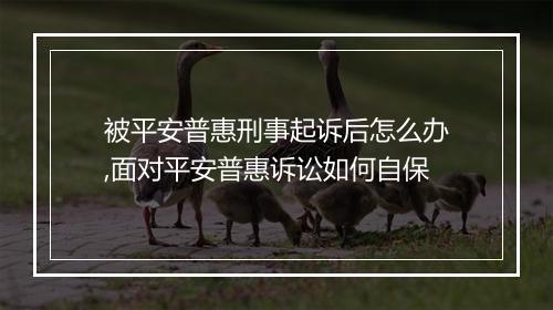 被平安普惠刑事起诉后怎么办,面对平安普惠诉讼如何自保