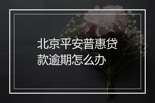 北京平安普惠贷款逾期怎么办