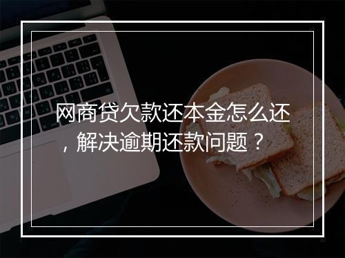 网商贷欠款还本金怎么还，解决逾期还款问题？