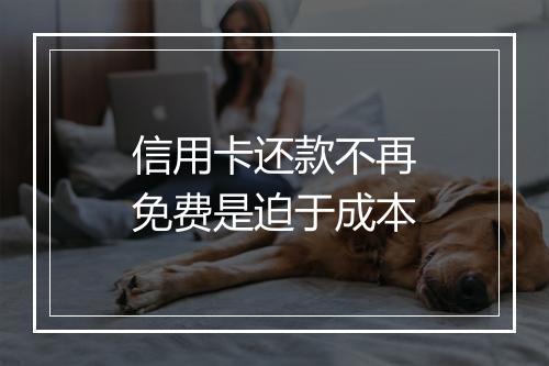 信用卡还款不再免费是迫于成本