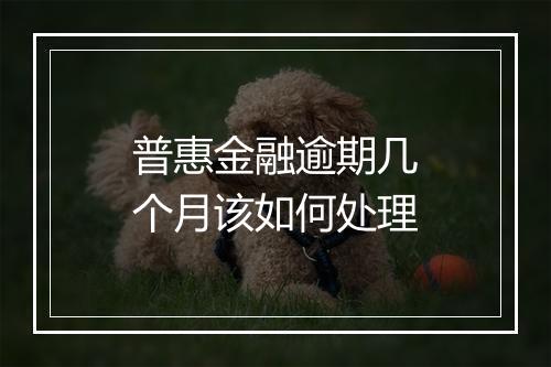 普惠金融逾期几个月该如何处理