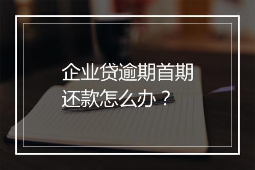 企业贷逾期首期还款怎么办？