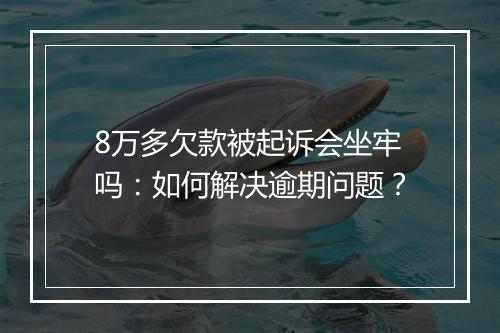 8万多欠款被起诉会坐牢吗：如何解决逾期问题？