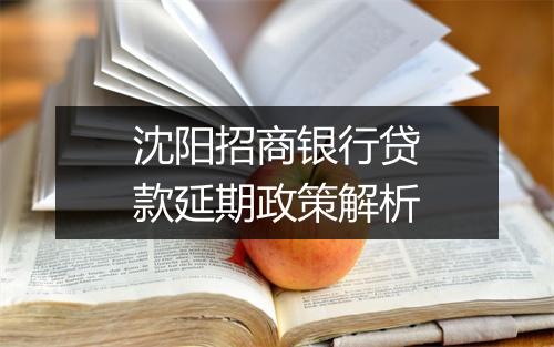 沈阳招商银行贷款延期政策解析