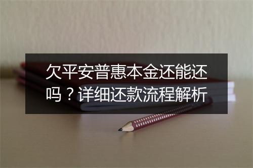 欠平安普惠本金还能还吗？详细还款流程解析