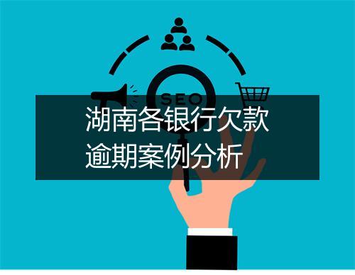 湖南各银行欠款逾期案例分析