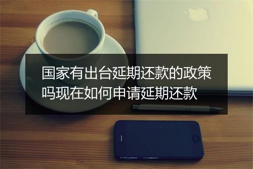 国家有出台延期还款的政策吗现在如何申请延期还款