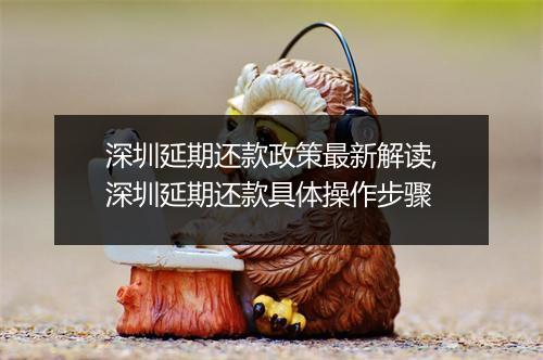 深圳延期还款政策最新解读,深圳延期还款具体操作步骤