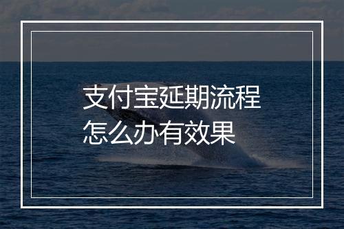 支付宝延期流程怎么办有效果