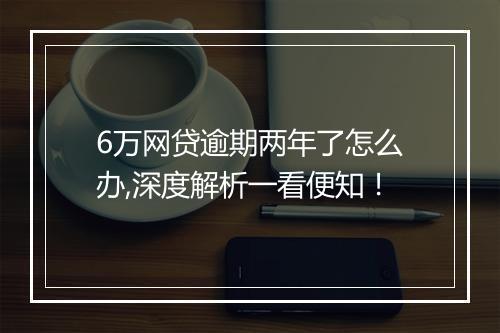 6万网贷逾期两年了怎么办,深度解析一看便知！