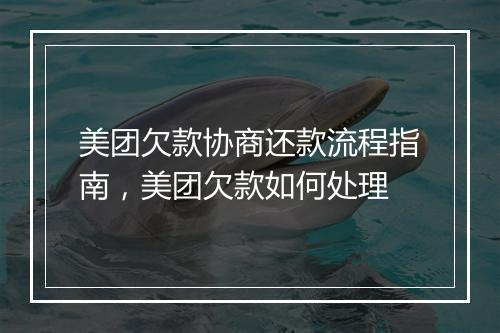 美团欠款协商还款流程指南，美团欠款如何处理
