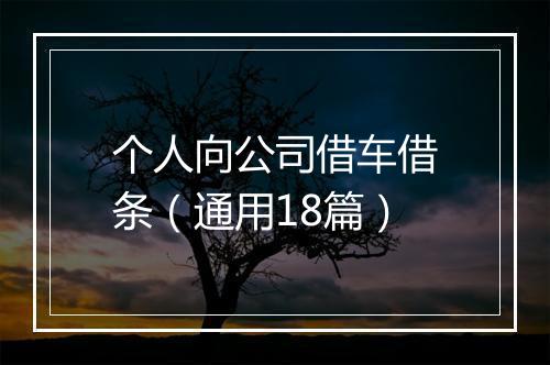 个人向公司借车借条（通用18篇）