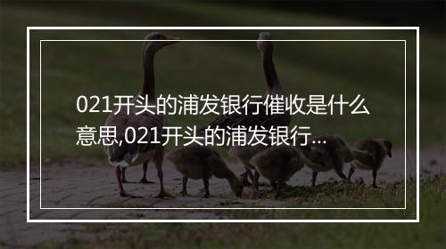 021开头的浦发银行催收是什么意思,021开头的浦发银行催收 是多少