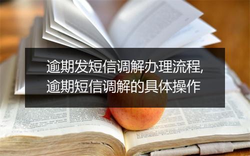 逾期发短信调解办理流程,逾期短信调解的具体操作