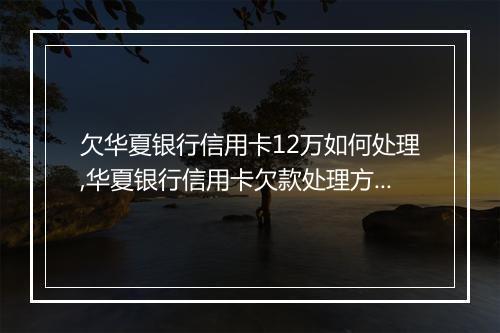 欠华夏银行信用卡12万如何处理,华夏银行信用卡欠款处理方案