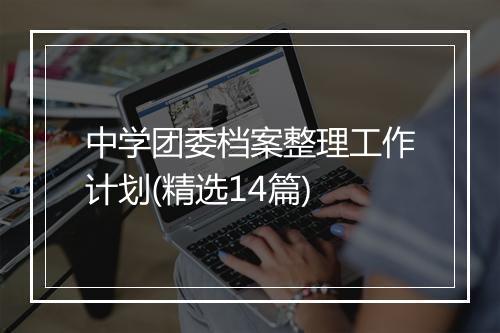 中学团委档案整理工作计划(精选14篇)