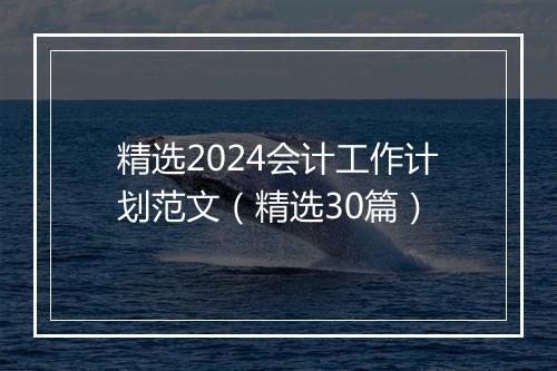 精选2024会计工作计划范文（精选30篇）