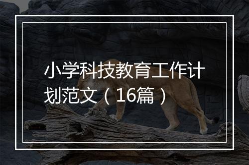 小学科技教育工作计划范文（16篇）