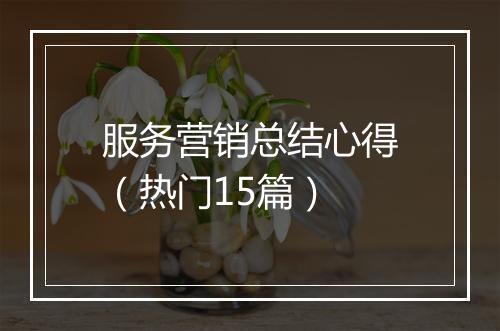 服务营销总结心得（热门15篇）