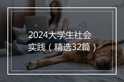 2024大学生社会实践（精选32篇）