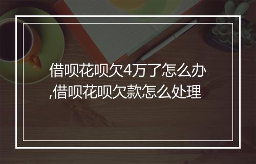 借呗花呗欠4万了怎么办,借呗花呗欠款怎么处理