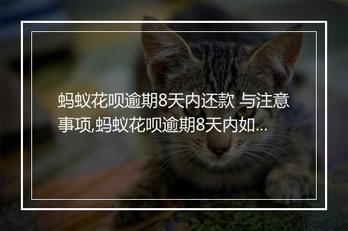 蚂蚁花呗逾期8天内还款 与注意事项,蚂蚁花呗逾期8天内如何处理