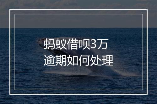 蚂蚁借呗3万逾期如何处理
