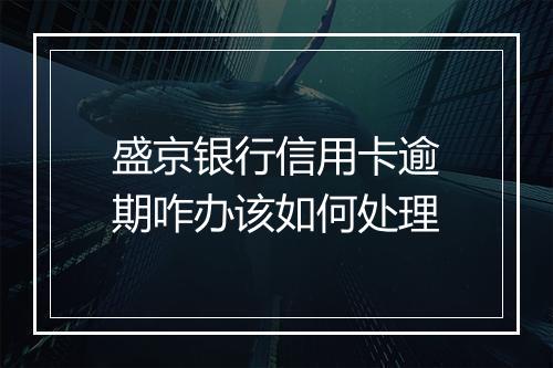 盛京银行信用卡逾期咋办该如何处理