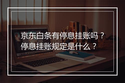 京东白条有停息挂账吗？停息挂账规定是什么？