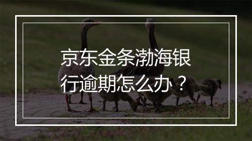 京东金条渤海银行逾期怎么办？
